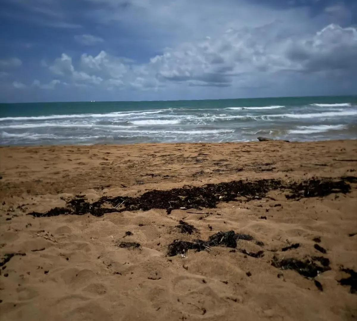 Apartment Caribbean Zen At Bosque Del Mar - Las Picuas - Rio Grande Puerto Rico
